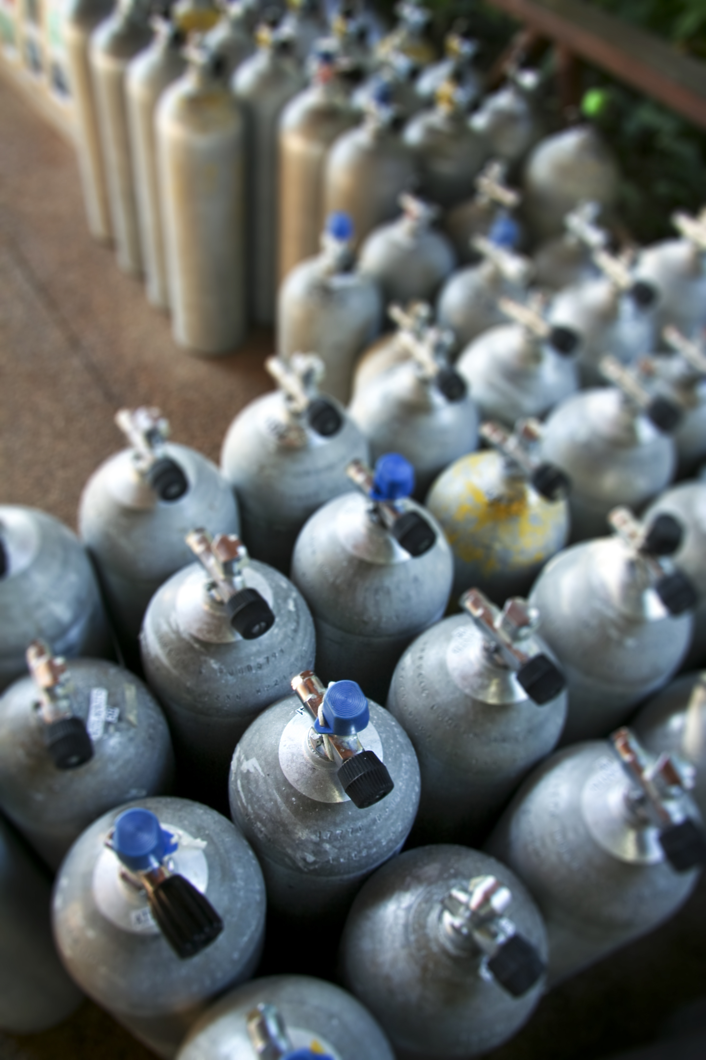 Neden Bizi Seçmelisiniz